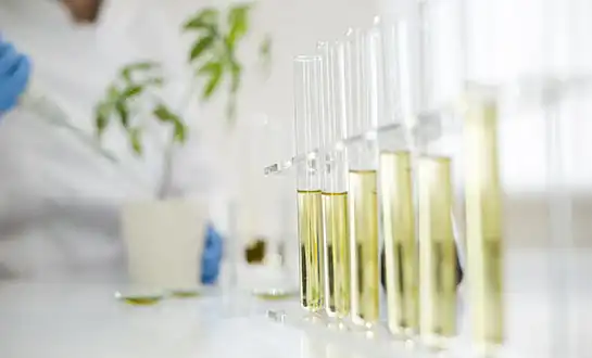 How to Choose High-Quality Amino Acid Fertilizers